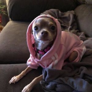 Meet your Posher, Julie